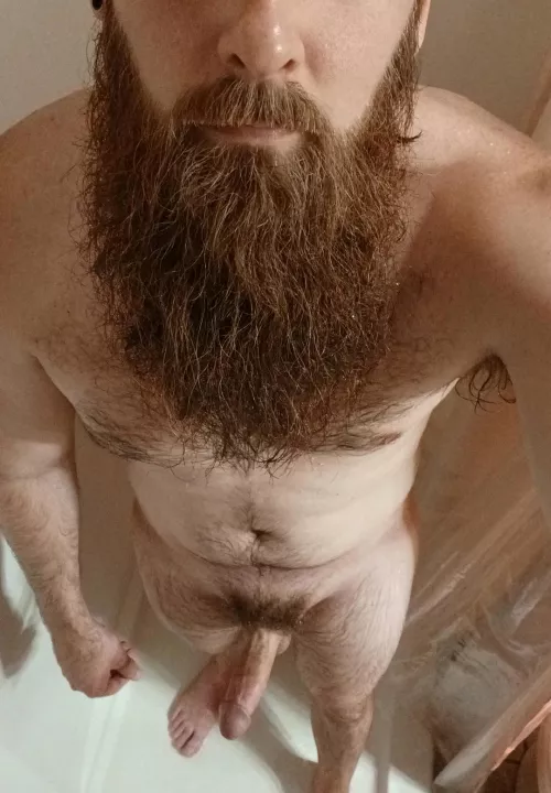 I could use some company 