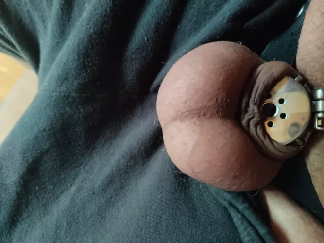 What are your thoughts about flat Cages?