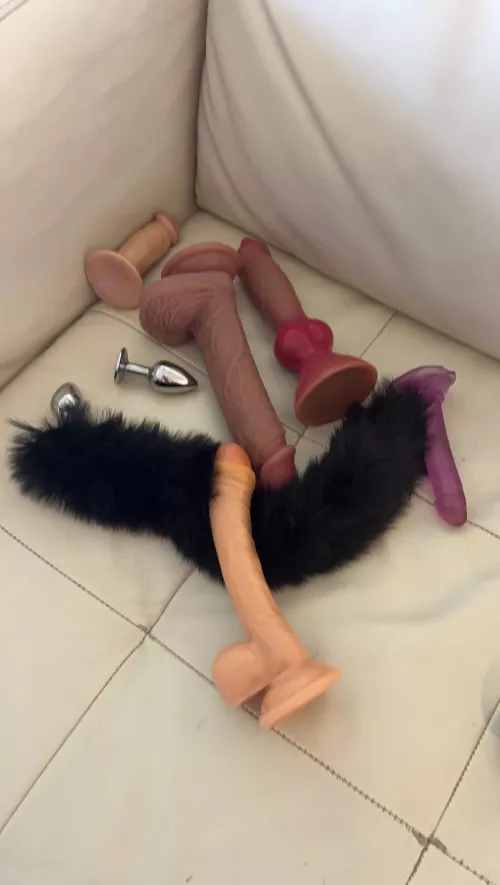 When wife is away exploring is in order 🙈