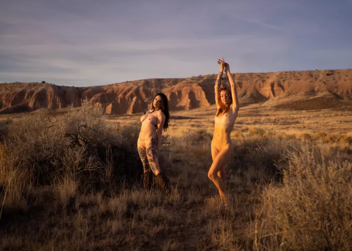 basking in the morning sun