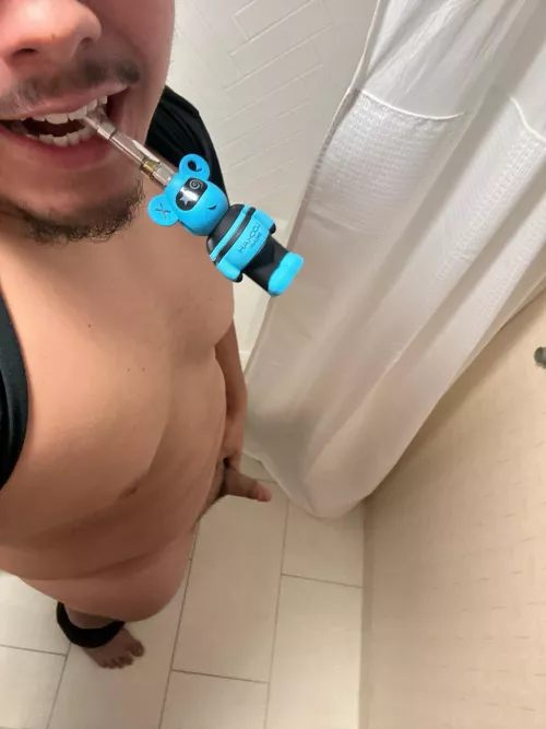 Do you like [m]my little bear