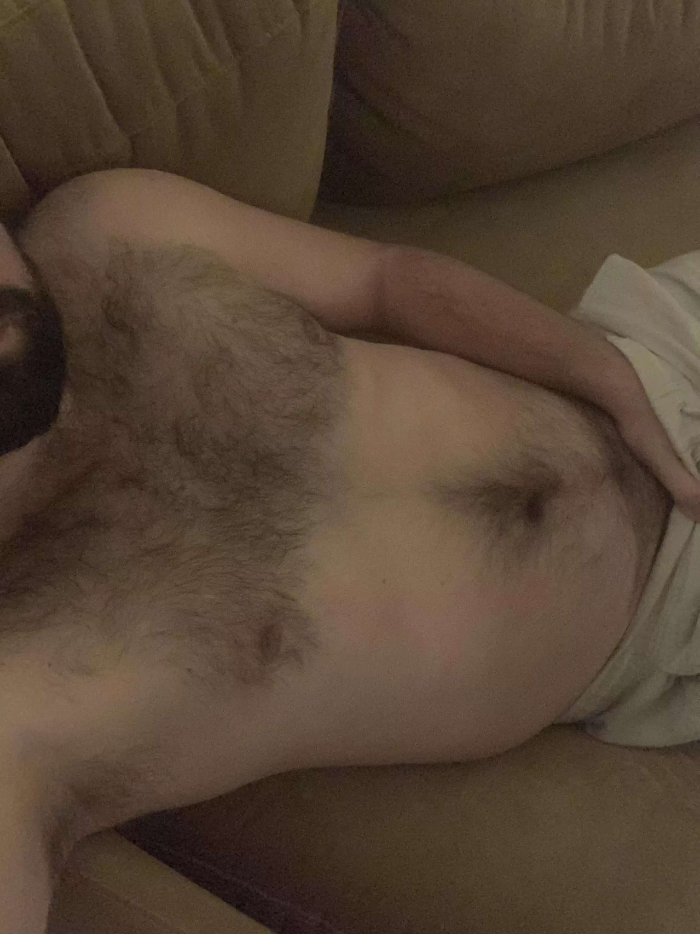 Is there room around here for another hairy dad bod?