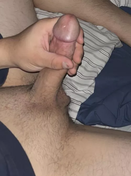 M20 who wants to trade and compare 