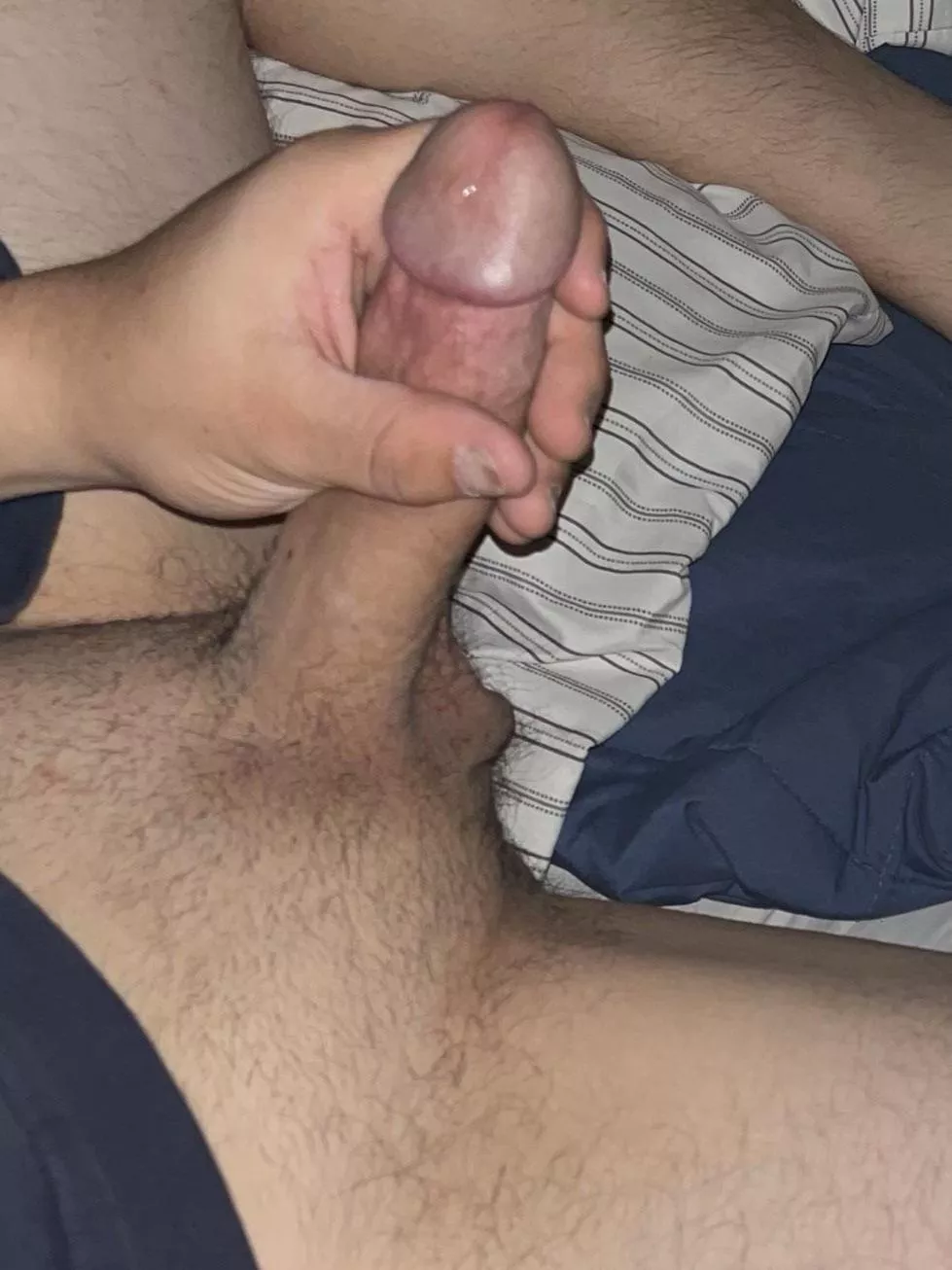 M20 who wants to trade and compare 