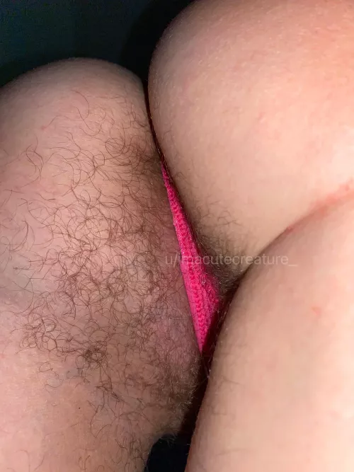 My [h]airy ass wants to feel your tongue