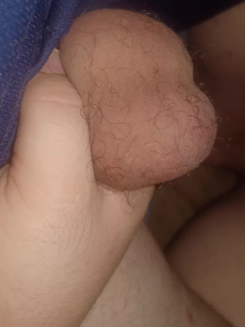 Want to play with them[24]