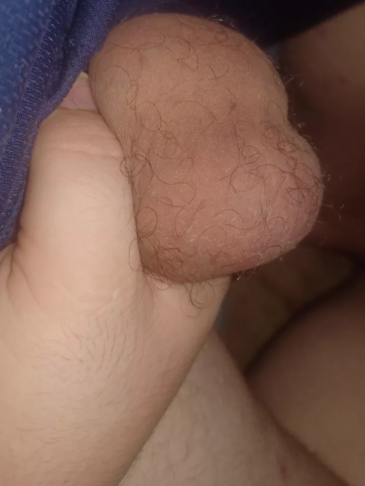 Want to play with them[24]