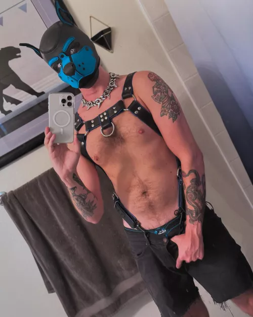 Went to my first pup event the other night, it was so much fun!
