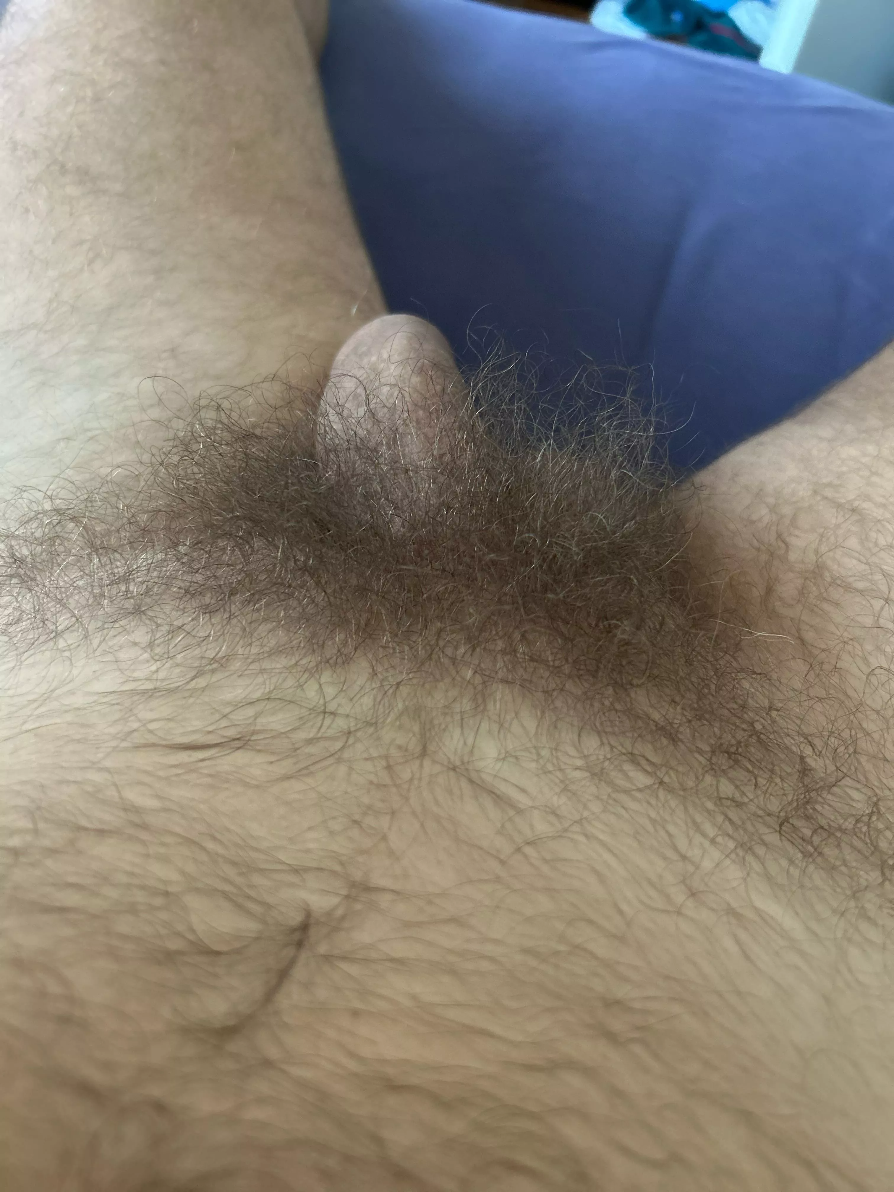 Bush with dried cum anyone? Can’t stop wanking today