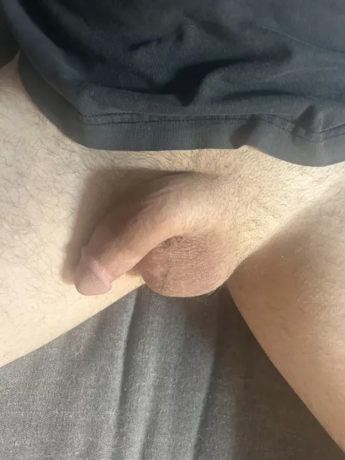 Completely soft and comfortable hanging out..(35)