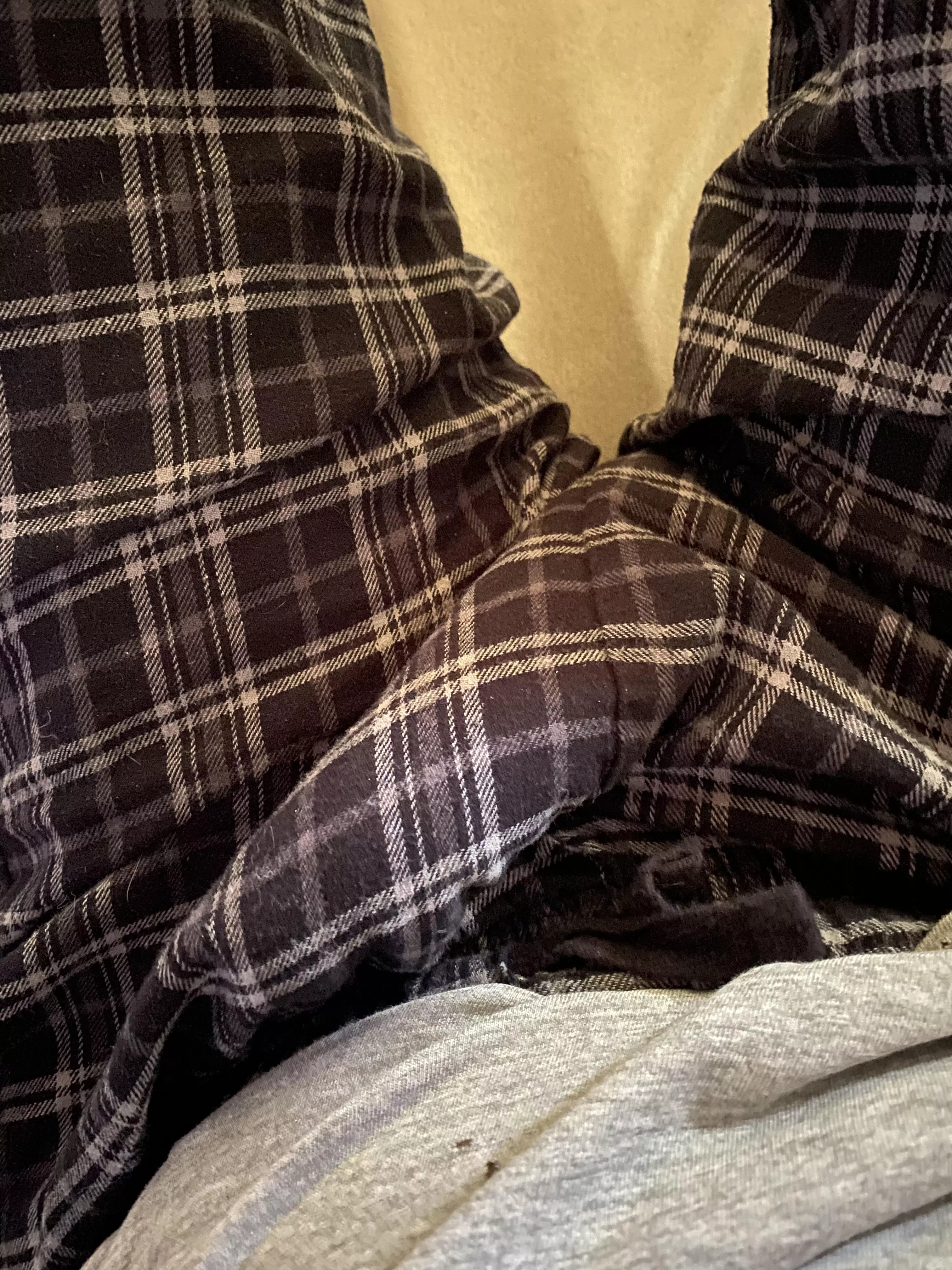 M29 cozy cock