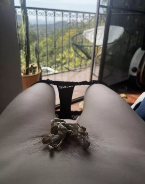 Oh noooo My pussy has been licked in so long and now it’s growing shrooms