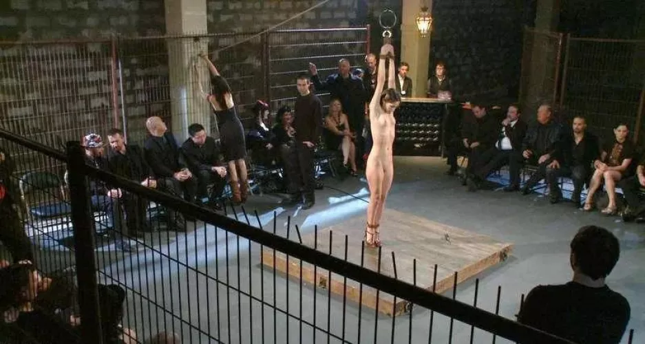 Presenting the goods and starting the auction