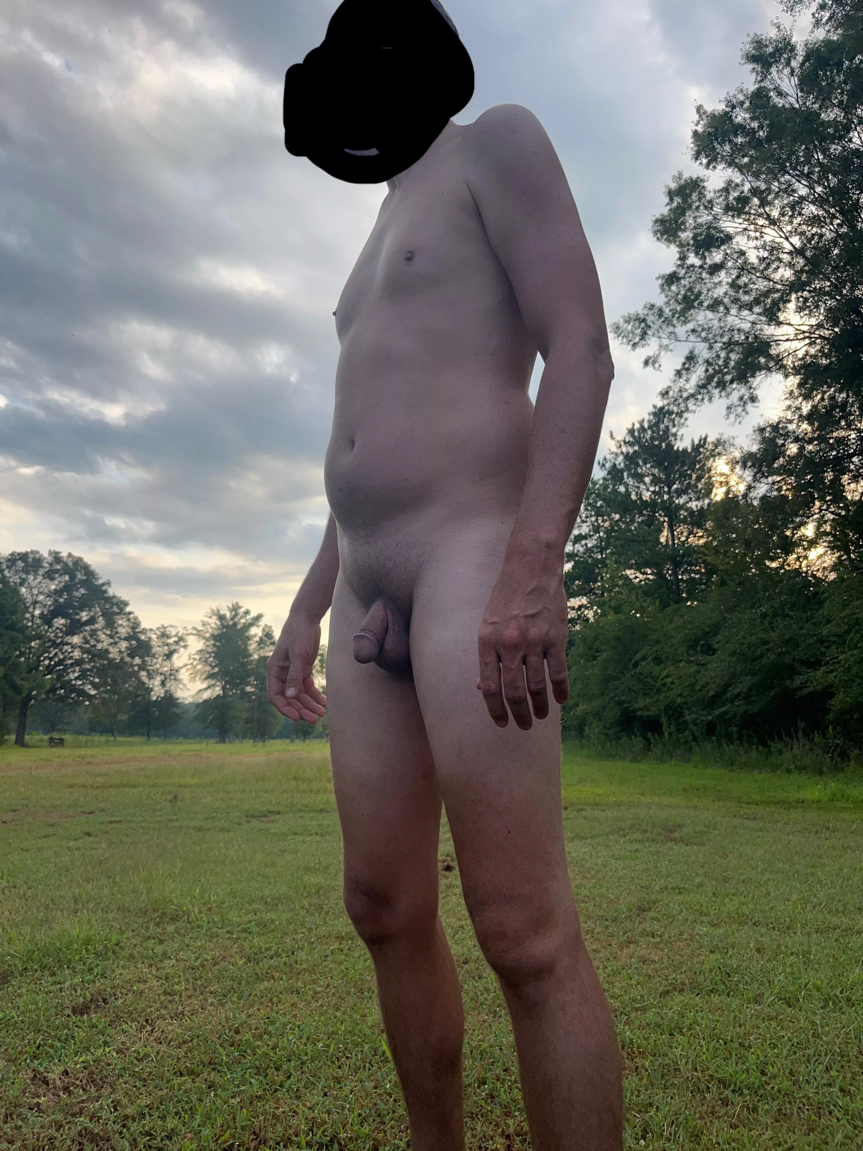 The cows didn’t mind