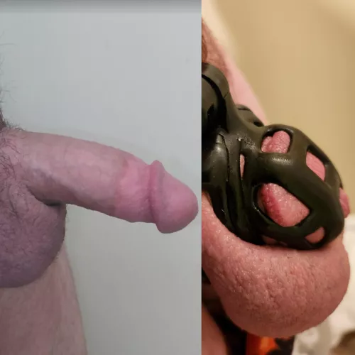 Wifey's wondering if yall think my 🤏🍆 should be free or if she should buckle down on just keeping it locked up a week or so at a time. Maybe longer 😥😈