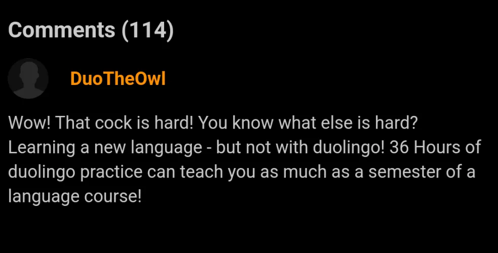 You can never escape the Duolingo bird.