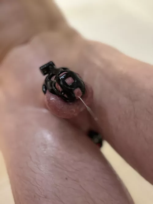 Dripping in the shower from a stranger controlling my Plug. 