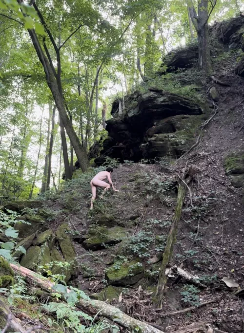 Exploring in the forest