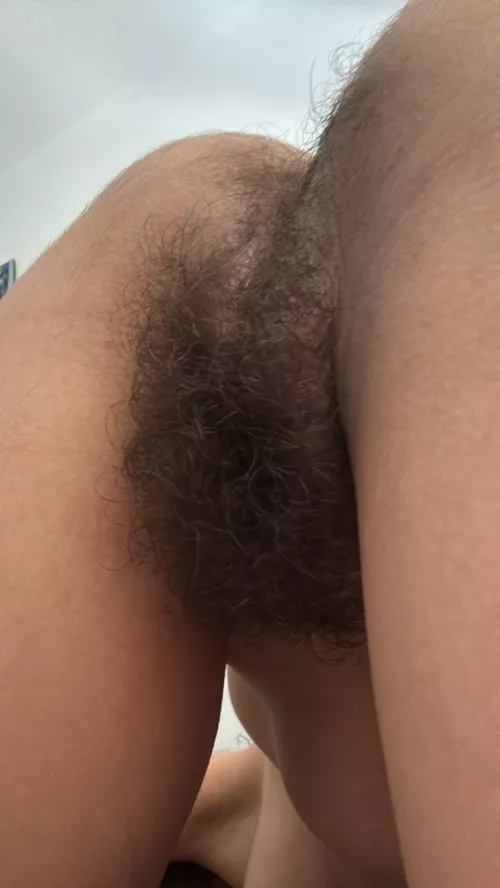 My [h]airy holes need a proper licking