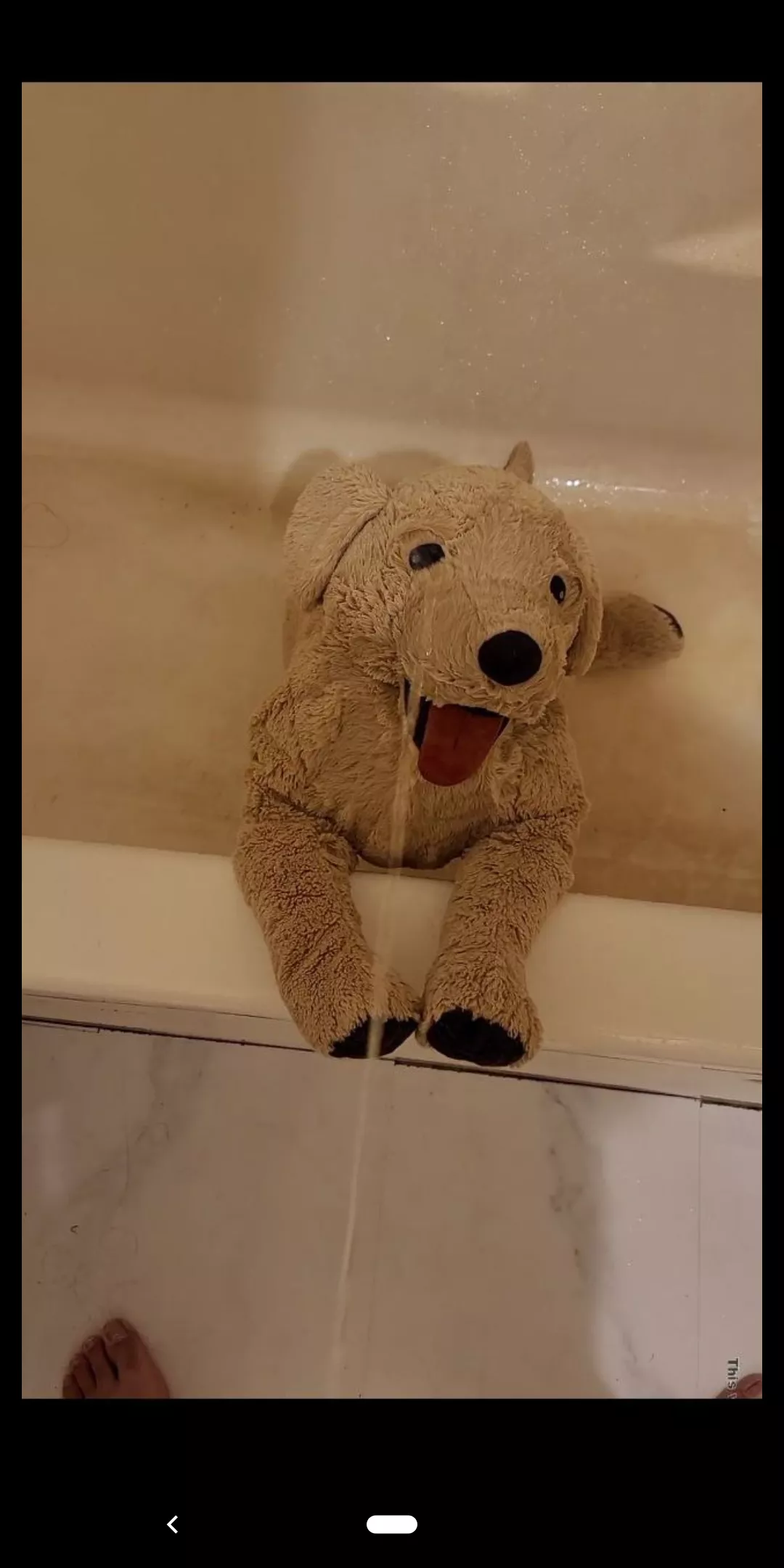 Plushie toilets anyone?