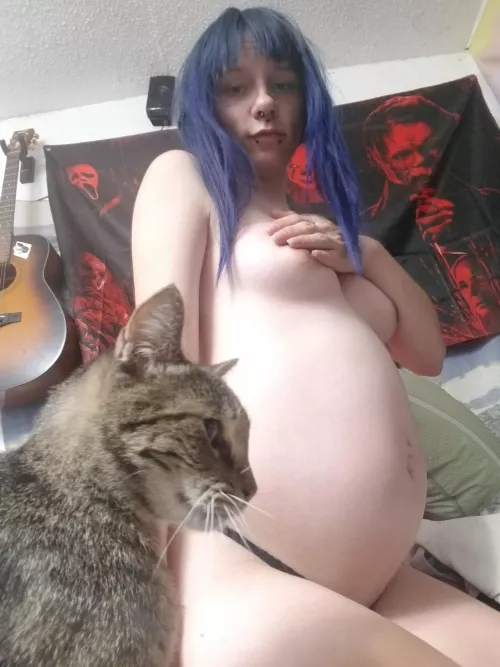 29 week bump pic with my cat!! Just cut and redyed my hair!! Am I a fuckable milf??