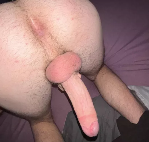 do you love the view ?