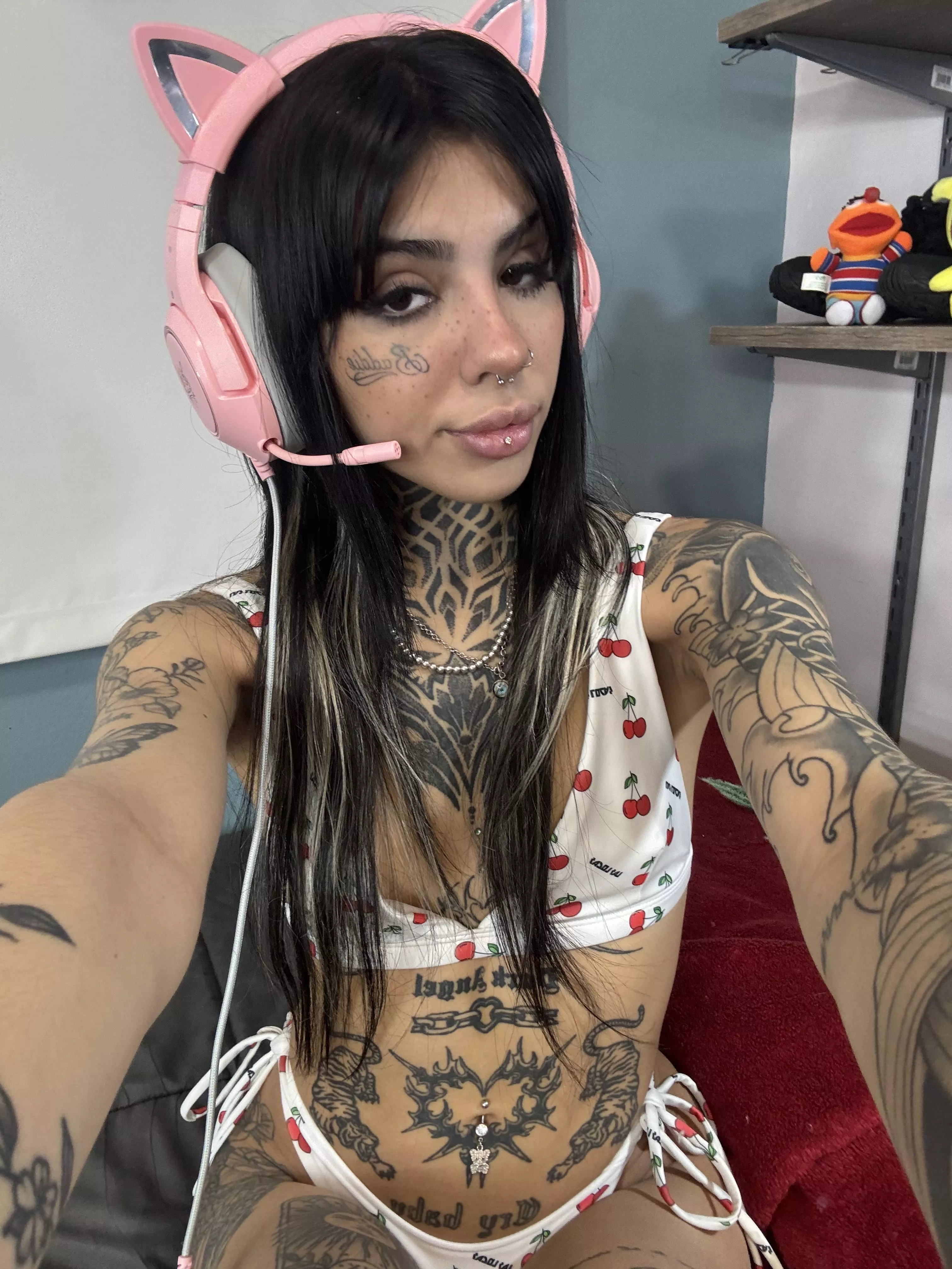 i can give you a paw