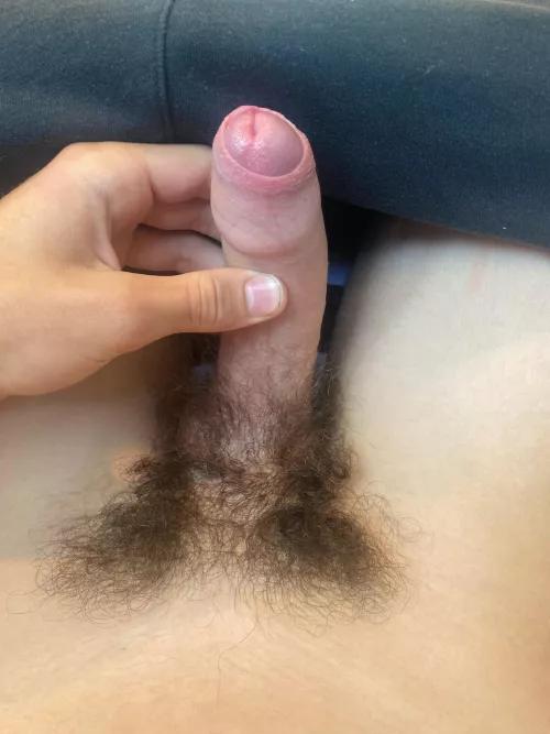 Who likes my hairy cock?