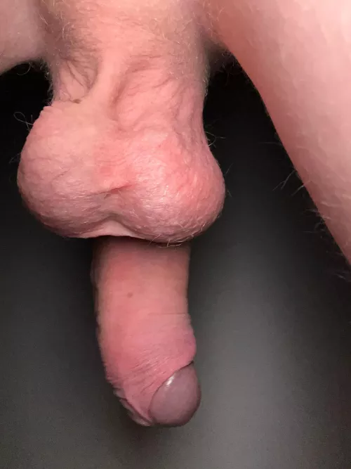 [18] Great viewpoint of the back of the nuts