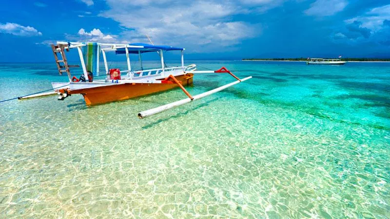 enjoy this amazing view