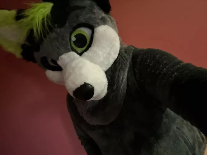 Feeling comfy in my fleece and fur suit head!