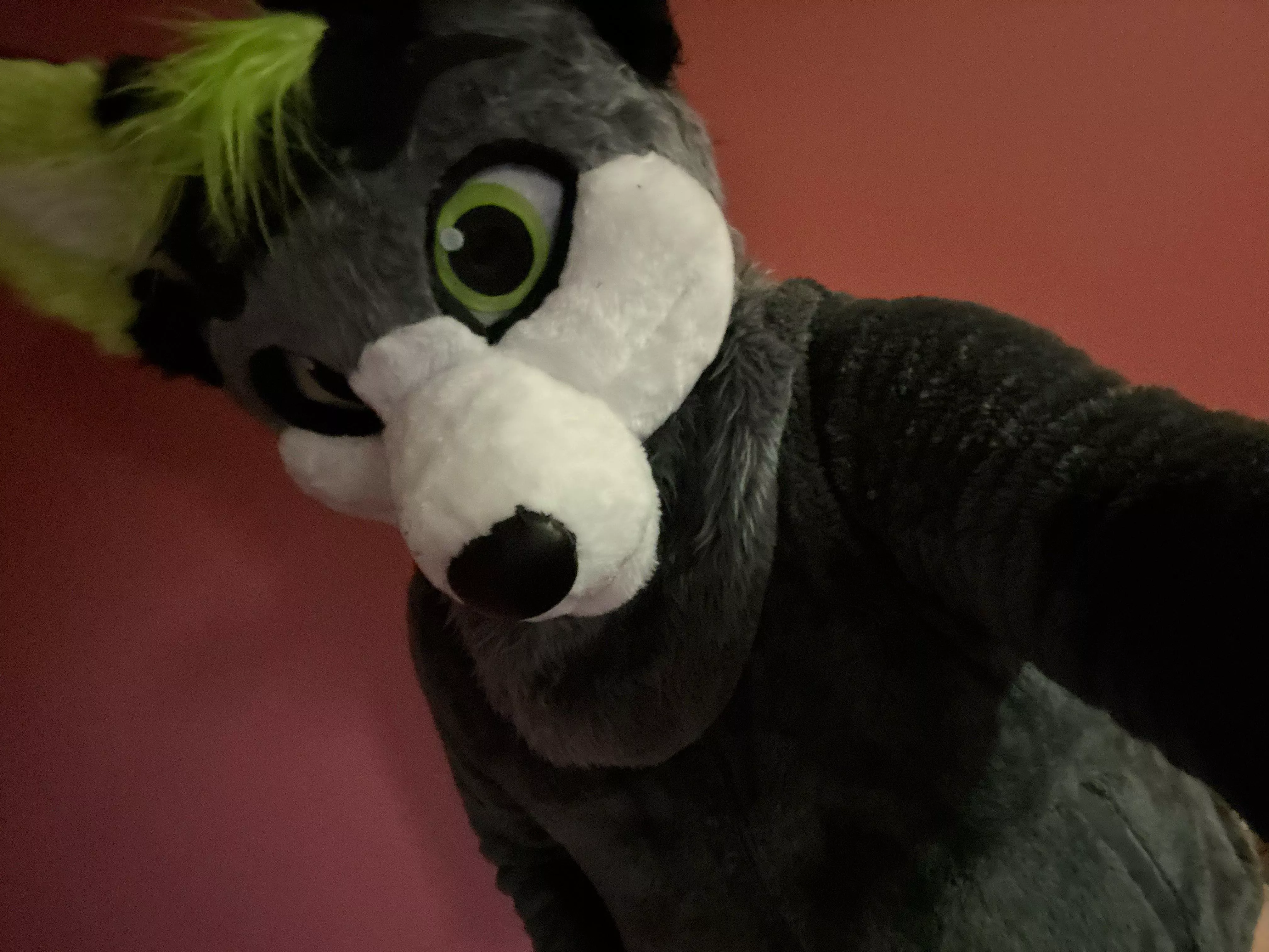 Feeling comfy in my fleece and fur suit head!