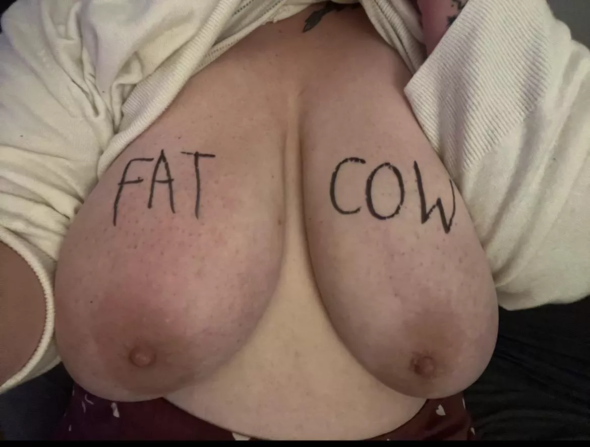 Hi I’m new here and thought I’d introduce myself 