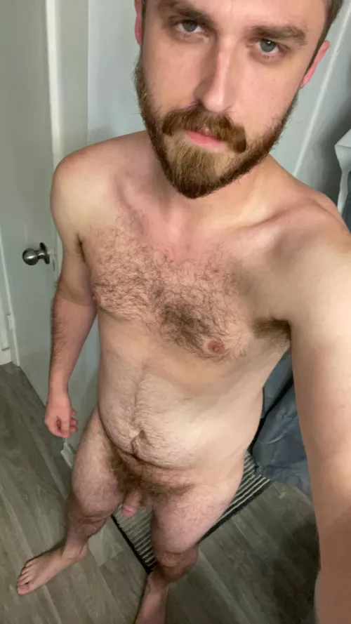 How’s my bush looking?