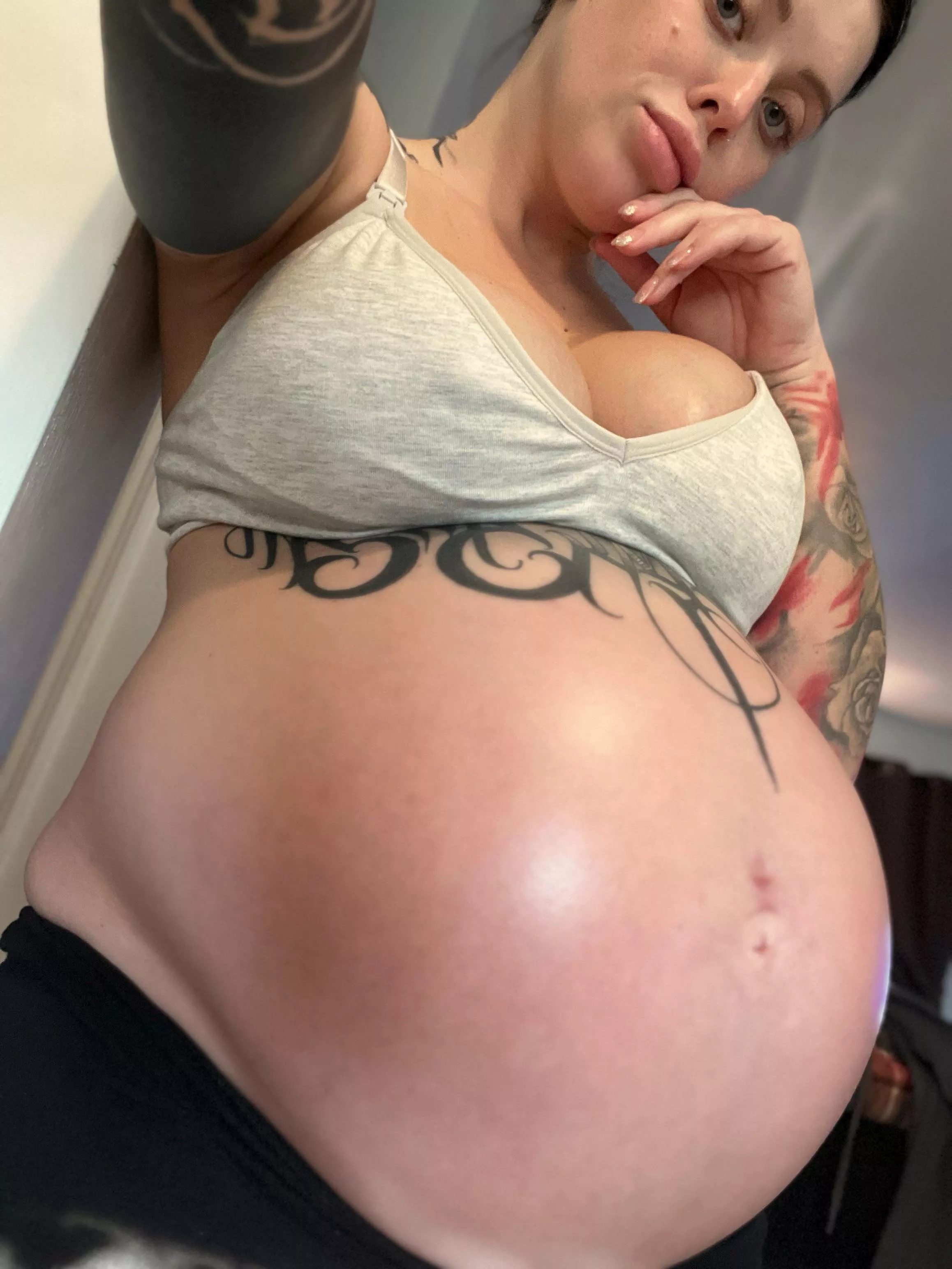 I miss my pregnant belly. Who’s going to breed me next? 