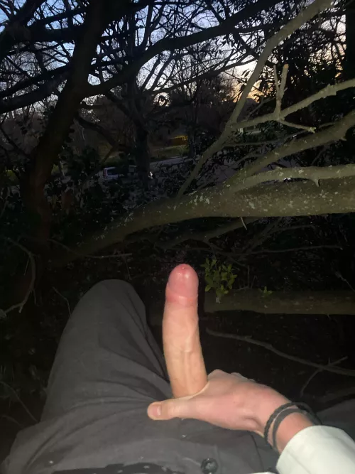 Just chilling in a tree after work