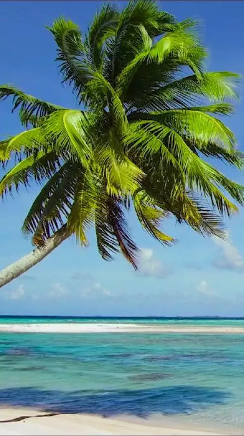 Sandy toes, sun-kissed nose.
