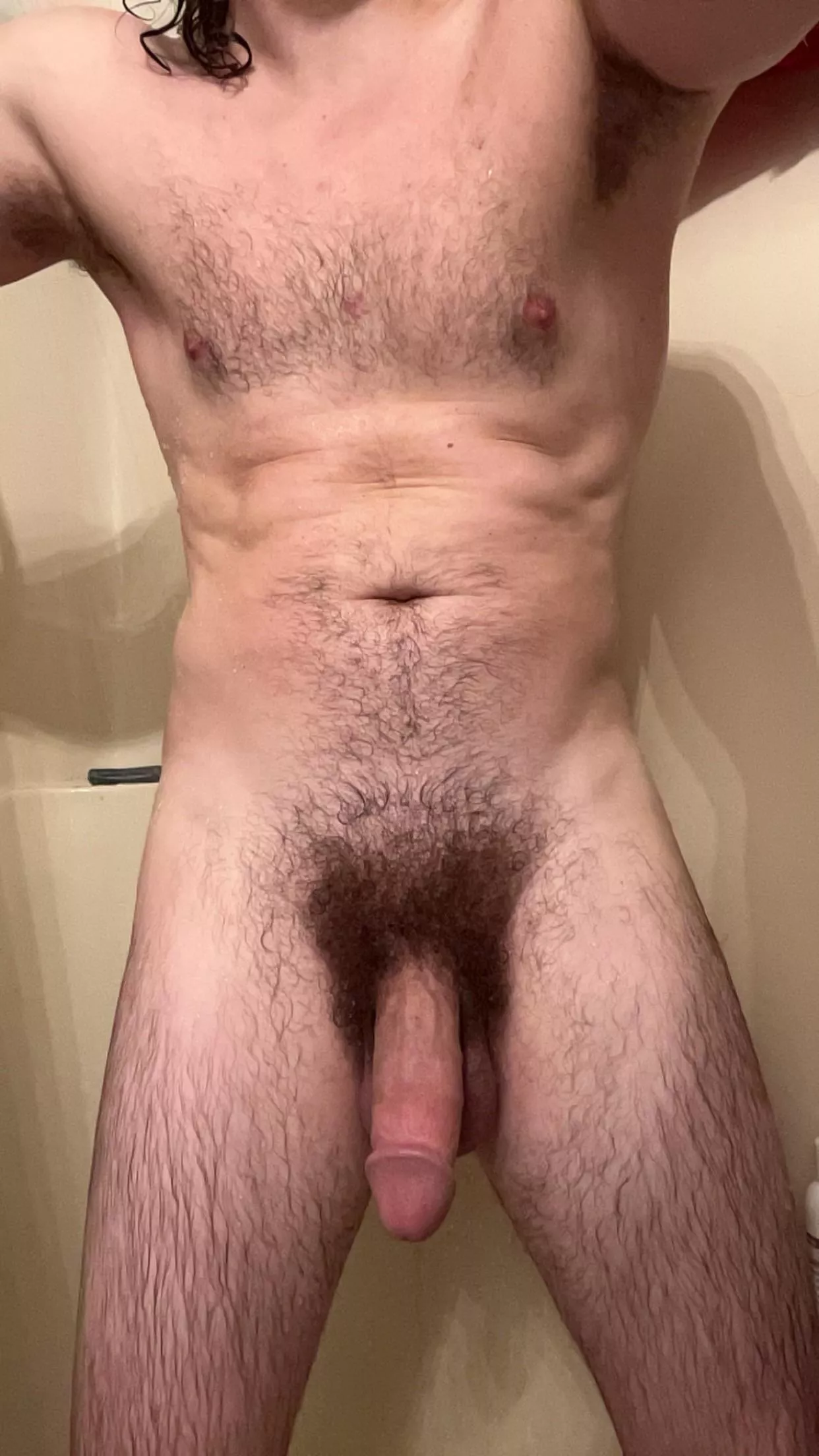 What do you think of my Bush?