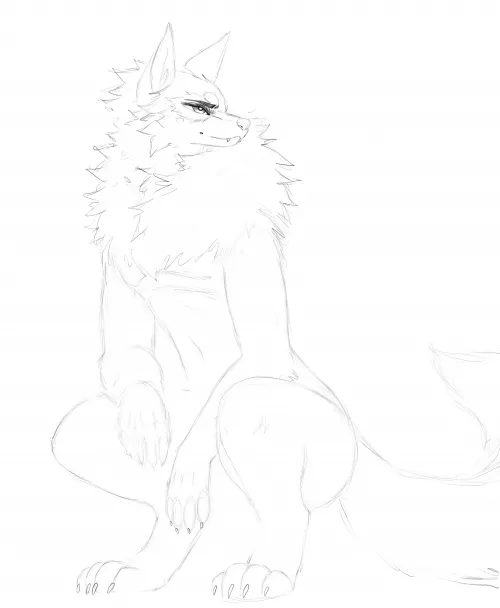 Wolf Sketch (art by me)
