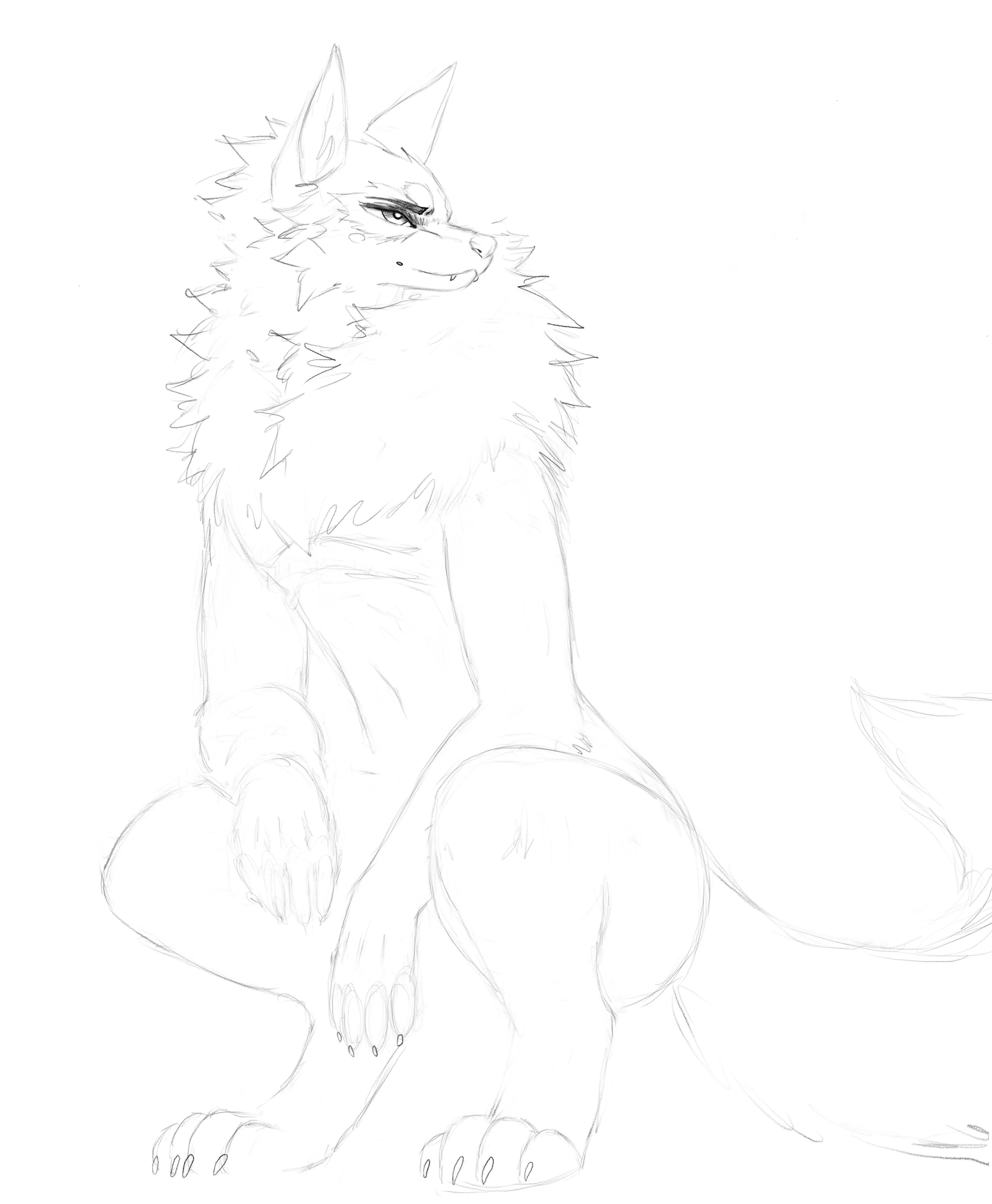 Wolf Sketch (art by me)