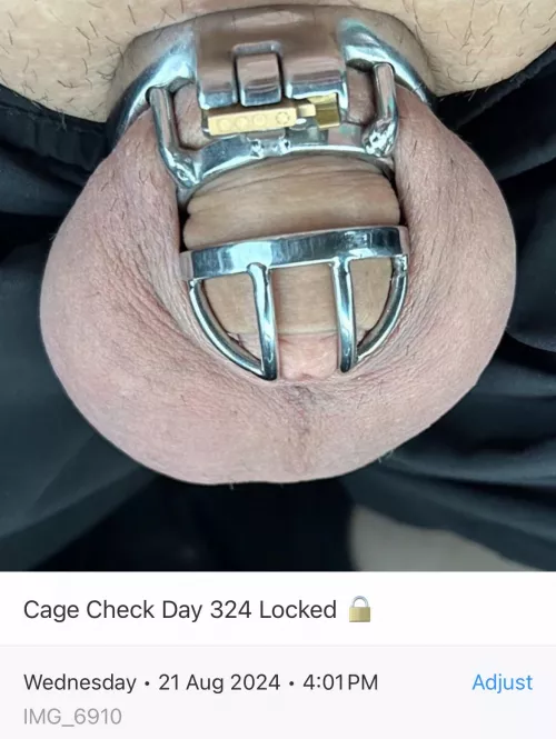 Cage Check Day 324 Locked 🔒 getting a little bit of sun ☀️