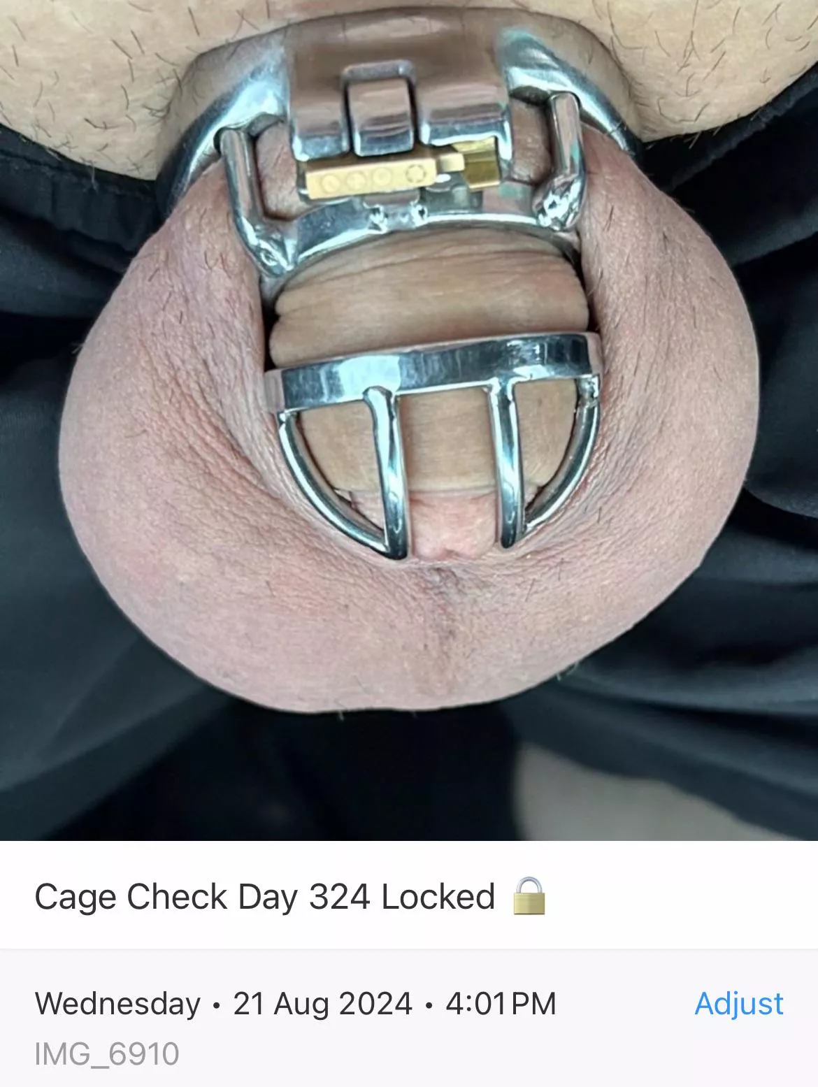 Cage Check Day 324 Locked 🔒 getting a little bit of sun ☀️