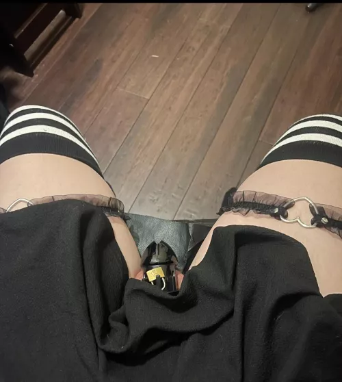 First time wearing a cage :)