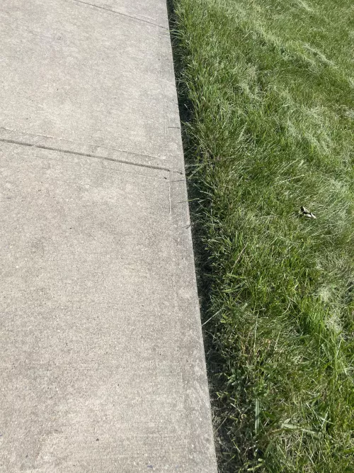 I’m pretty new to this how did i do?