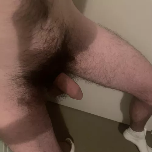 My bushy uncut cock. 