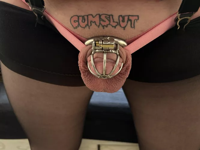 Perma locked pussy free virgin sissy cumslut. Only cock for this slut.