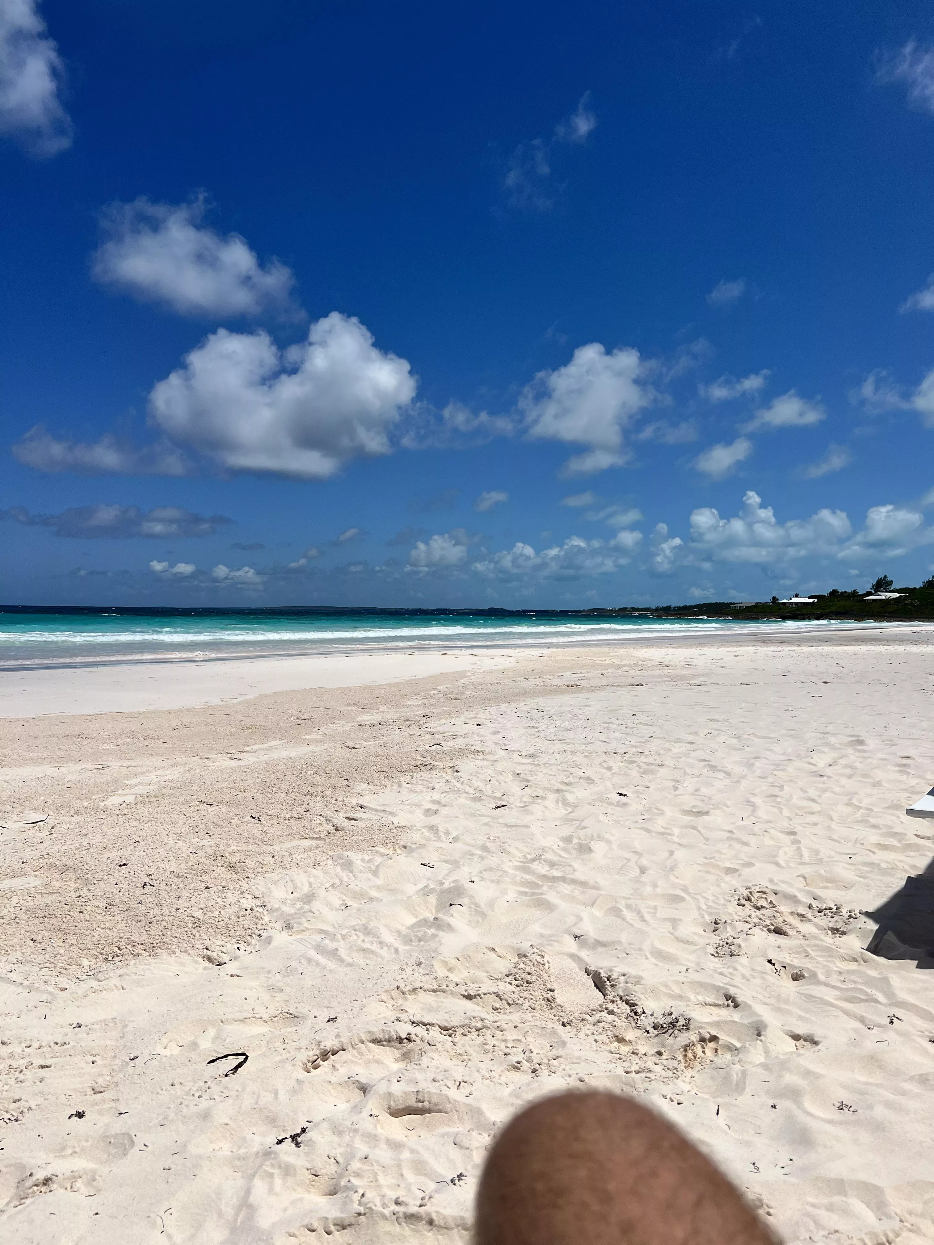 “Pink Sand” beach in the Bahamas 