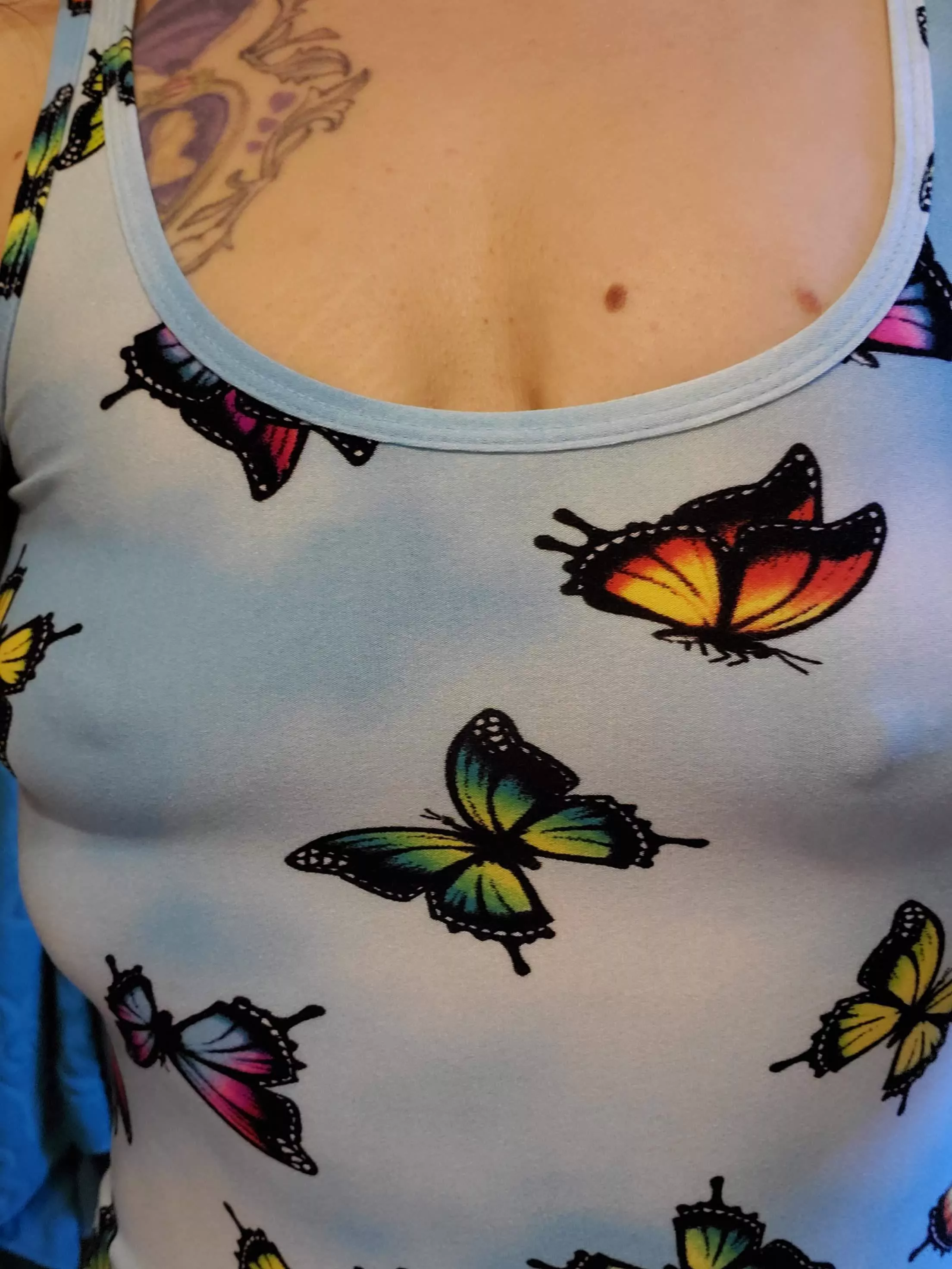Pokies in butterfly 