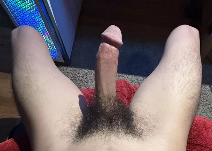 Trim the bush or keep it?