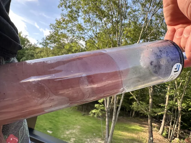 Any pumpers wanna chat?! DMs open 